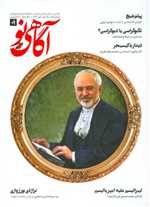 طلق سينه FOX A2 106 × 82 mm